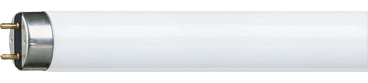 Philips P624819 Tube TL-D 58W/830 G13 WW
