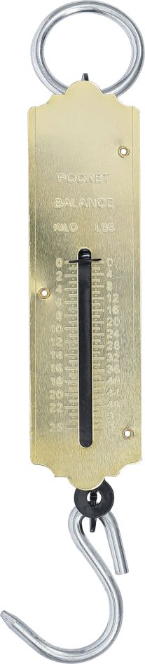 BGS Do It Yourself 8033 Balance suspendue max. 25 kg