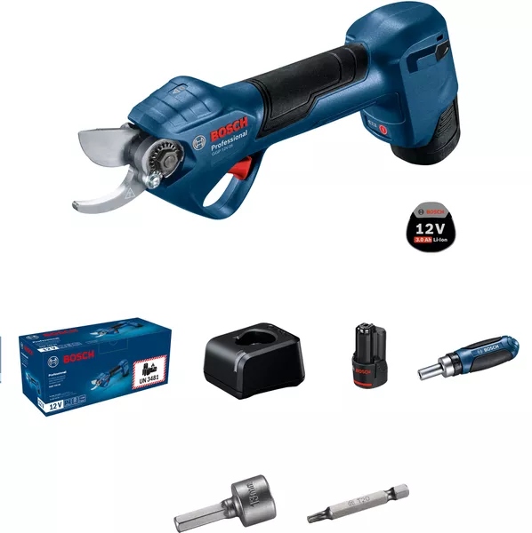 Bosch Bleu 06008D8100 GGP 12V-25 Accu set de s&eacute;cateurs 2x 3.0 Ah et chargeur rapide en bo&icirc;te