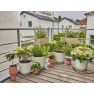 Gardena 13401-20 Start Set pour terrasse/balcon - 2