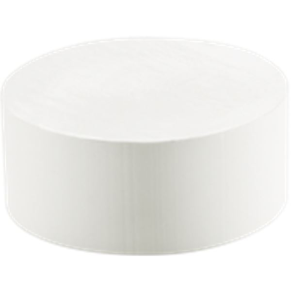 Festool Accessoires 499813 Colle blanche EVA wht 48x-KA 65