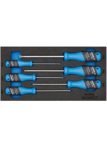 Gedore 2309165 1500 CT1-2163 TXB Jeu de tournevis 3-C en module CT 6 pièces