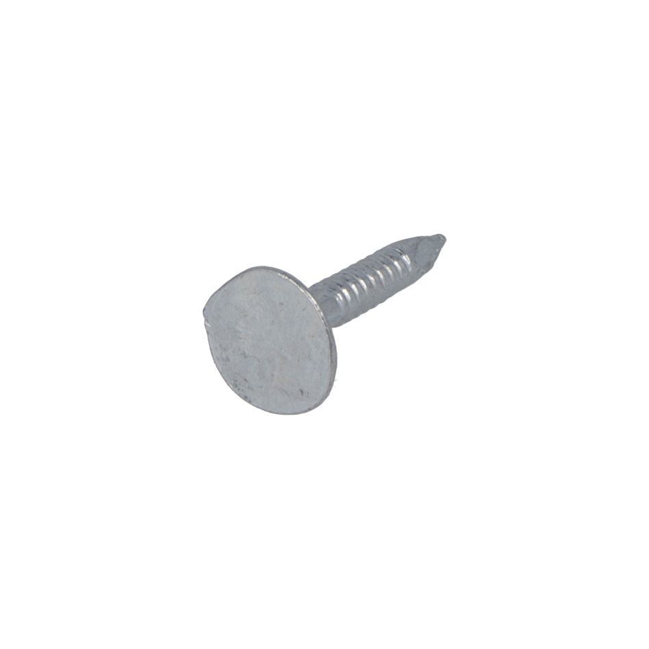 Proftec 5592.01.02210 Clou pour asphalte VZ PK 3.0 x 15 mm - 1 kg