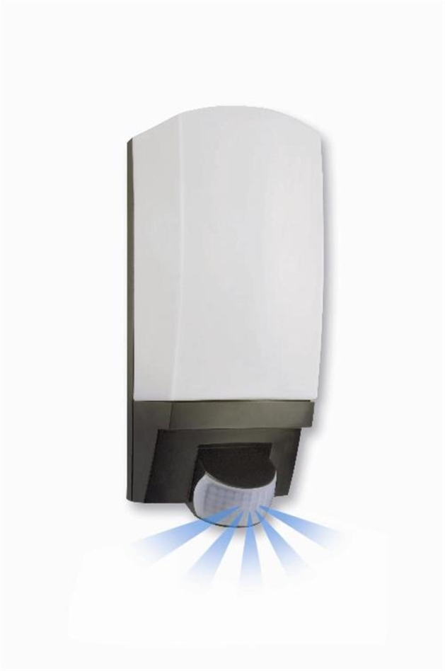 Steinel 650612 L1 Noir lampe capteur