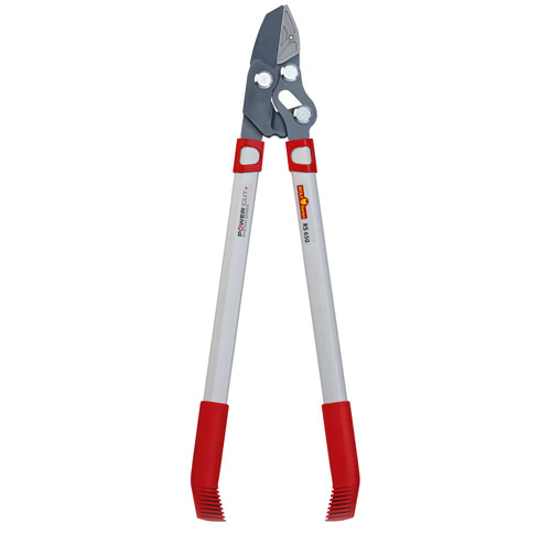 wolfgarten 73BGA005650 Débroussailleuse à enclume RS650 Powercut